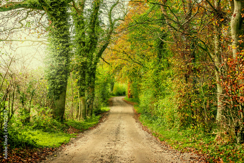 Landscape with a road