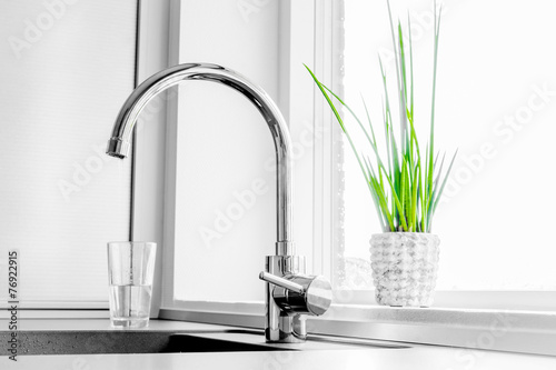 Faucet with a green plant