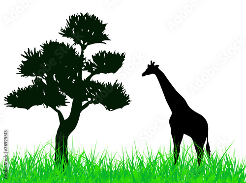 Giraffe on the grass illustration