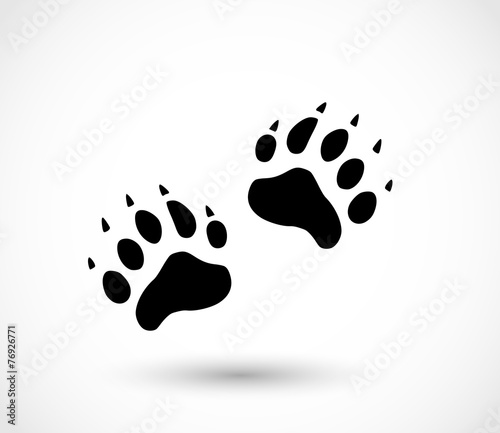 Animal footprint vector