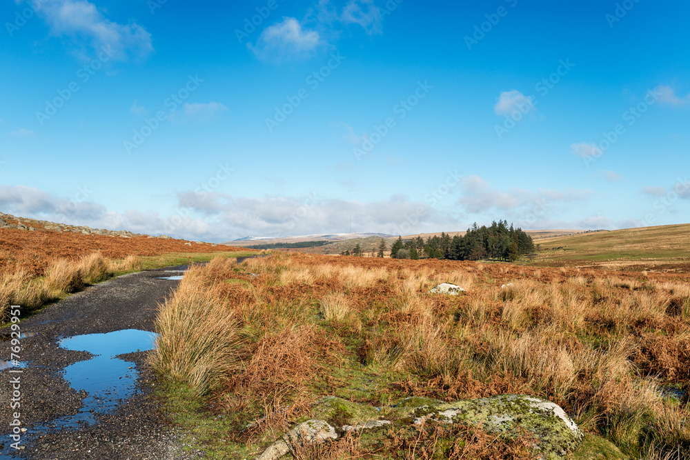 Fototapeta premium Dartmoor Track