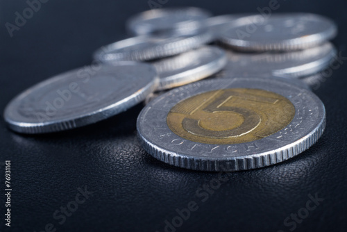 Polish coins