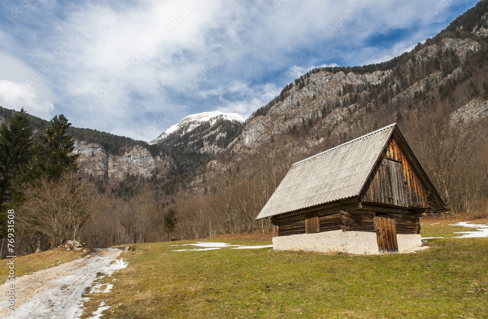 Typical alpine village, Bohinj, Slovenia