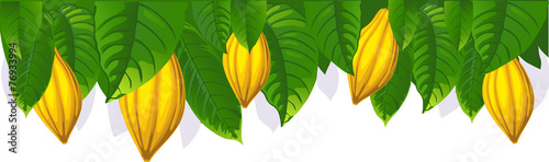 cocoa pod and leaf - the upper bar- vector illustration