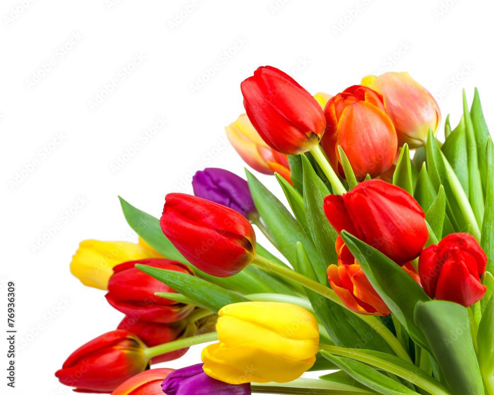 Bunter Frühlingsstrauß mit Tulpen Bunter Frühlingsstrauß mit Tulpen