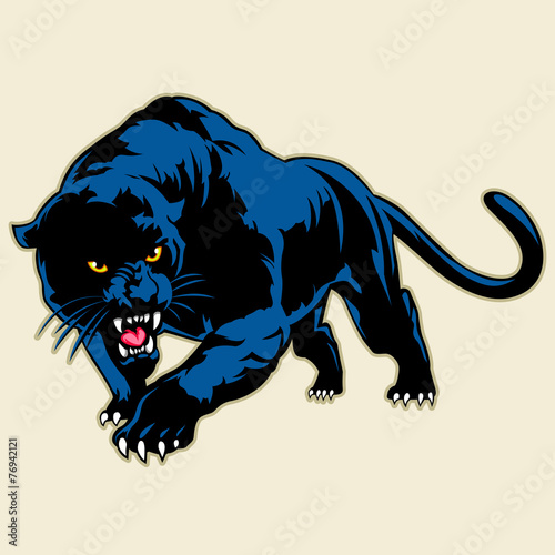 black panther photo