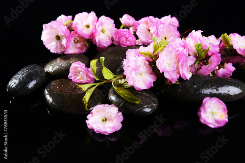 Beautiful fruit blossom isolated on black