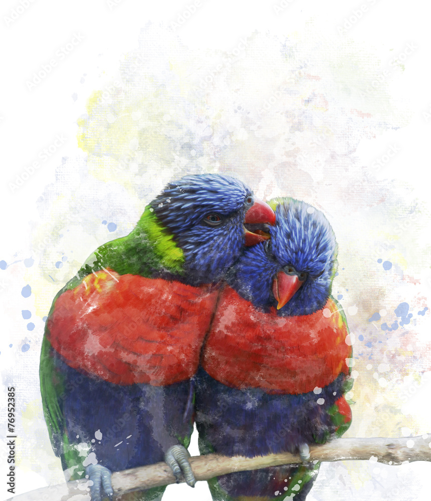 Naklejka premium Rainbow Lorikeet Parrots