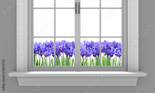Fototapeta Naklejka Na Ścianę i Meble -  Beautiful spring irises flowering outside a house window