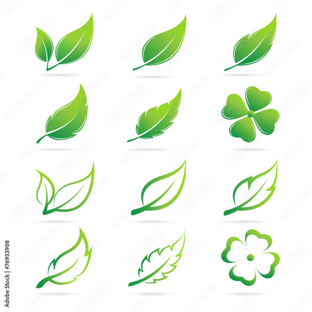 Vector leaves icon set on white background Vector leaves icon set on white background