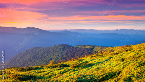 Colorful summer sunrise in the Carpathian mountains