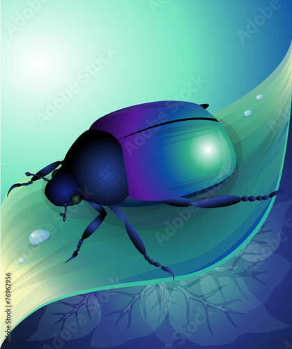 Vector illustration of blue beetle