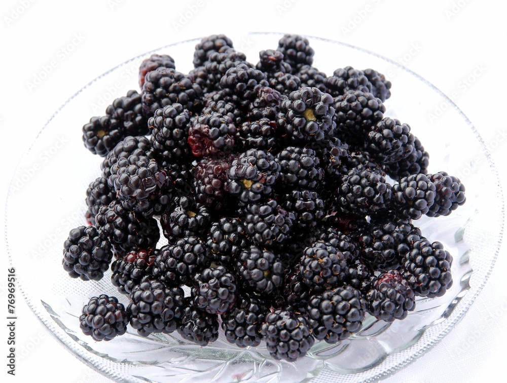 black berries of wild blackberry shrub from forest black berries of wild blackberry shrub from forest