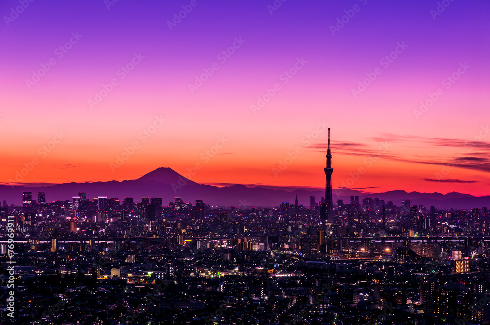 富士山とスカイツリー