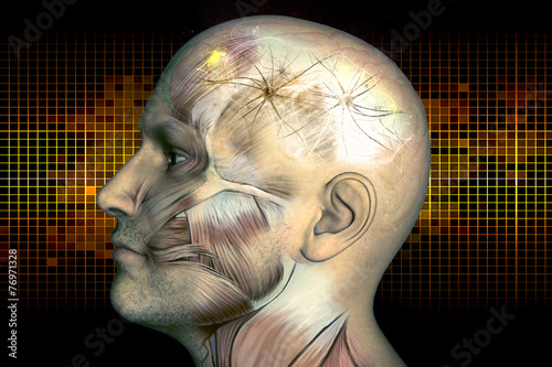 Digital illustration human brain and neurons