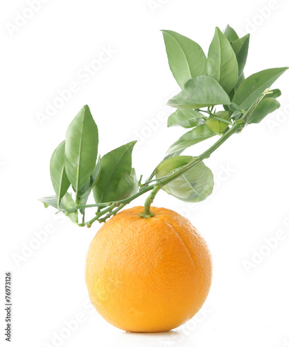 Branche et orange