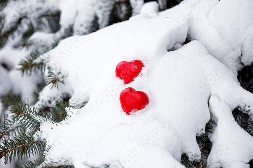 Fir tree branch covered with snow and hearts, closeup view