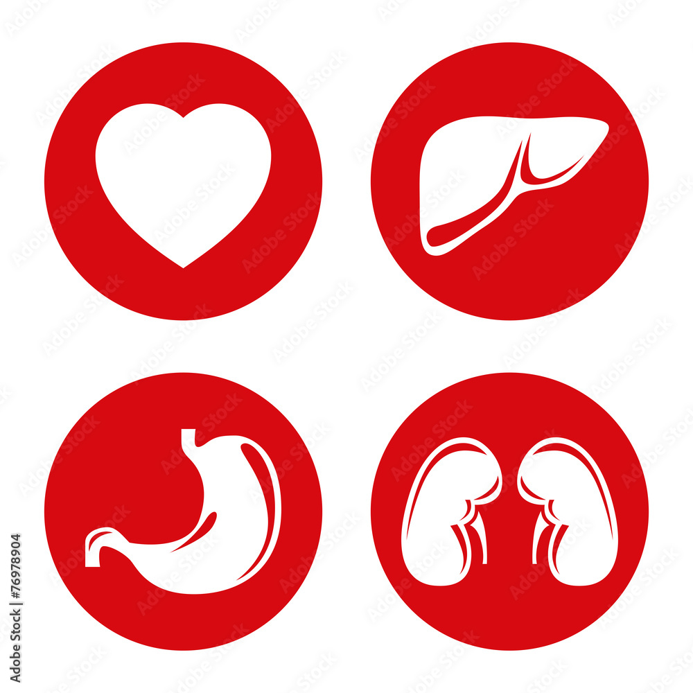 Obraz premium Human internal organs vector icons set.