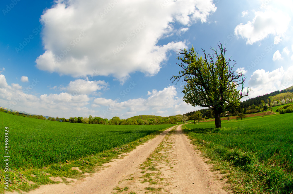 Wanderweg