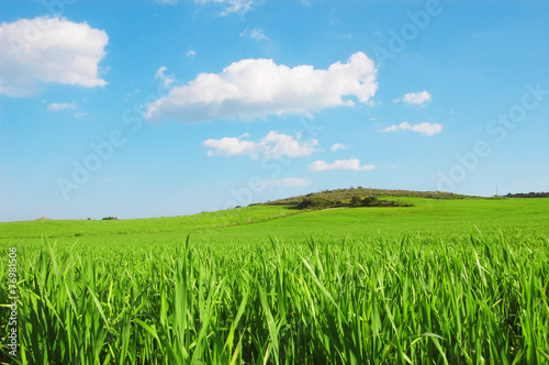 Collina con prato verde e cielo azzurro e nuvole - Terra -