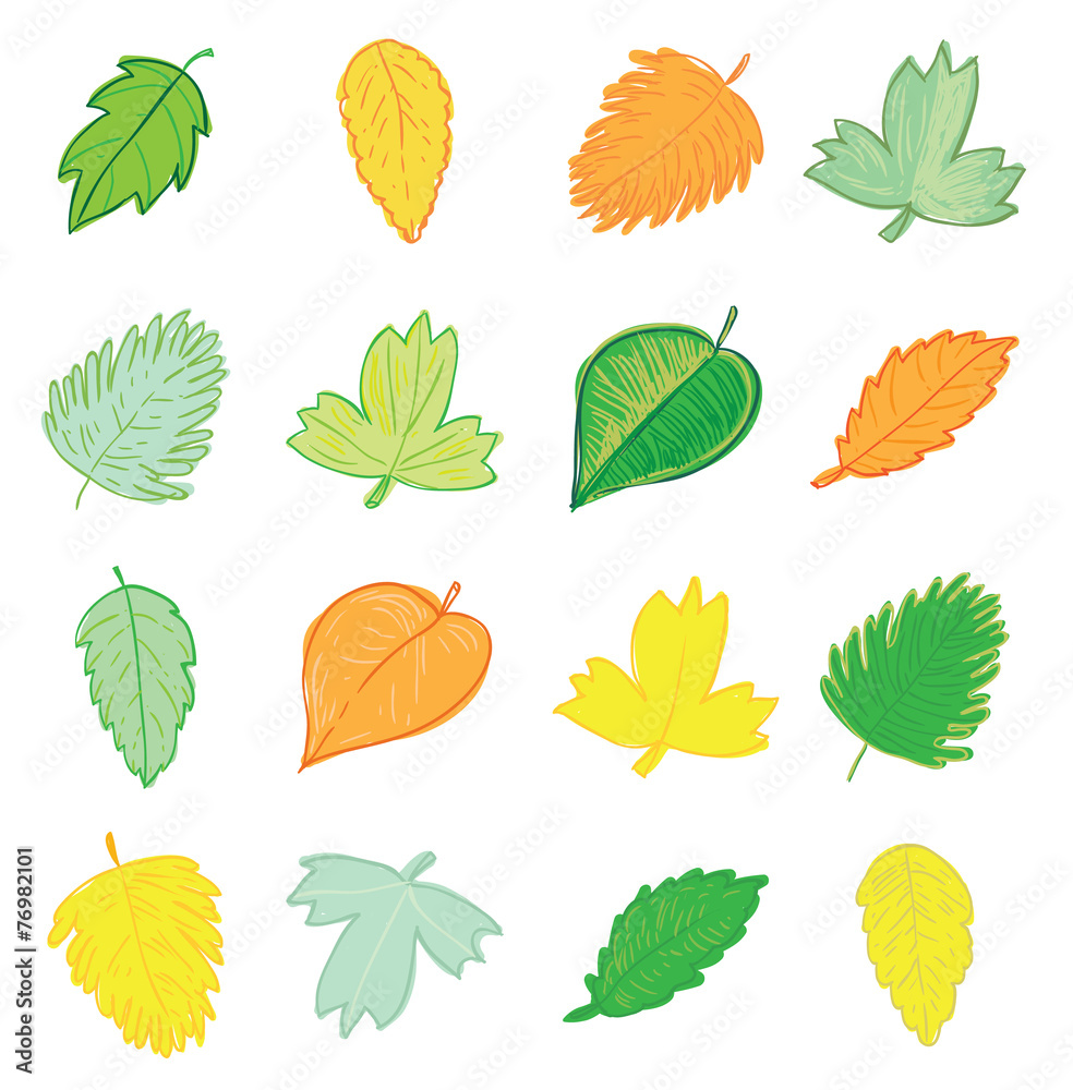 Obraz premium leaves doodles set. Vector hand drawn illustration