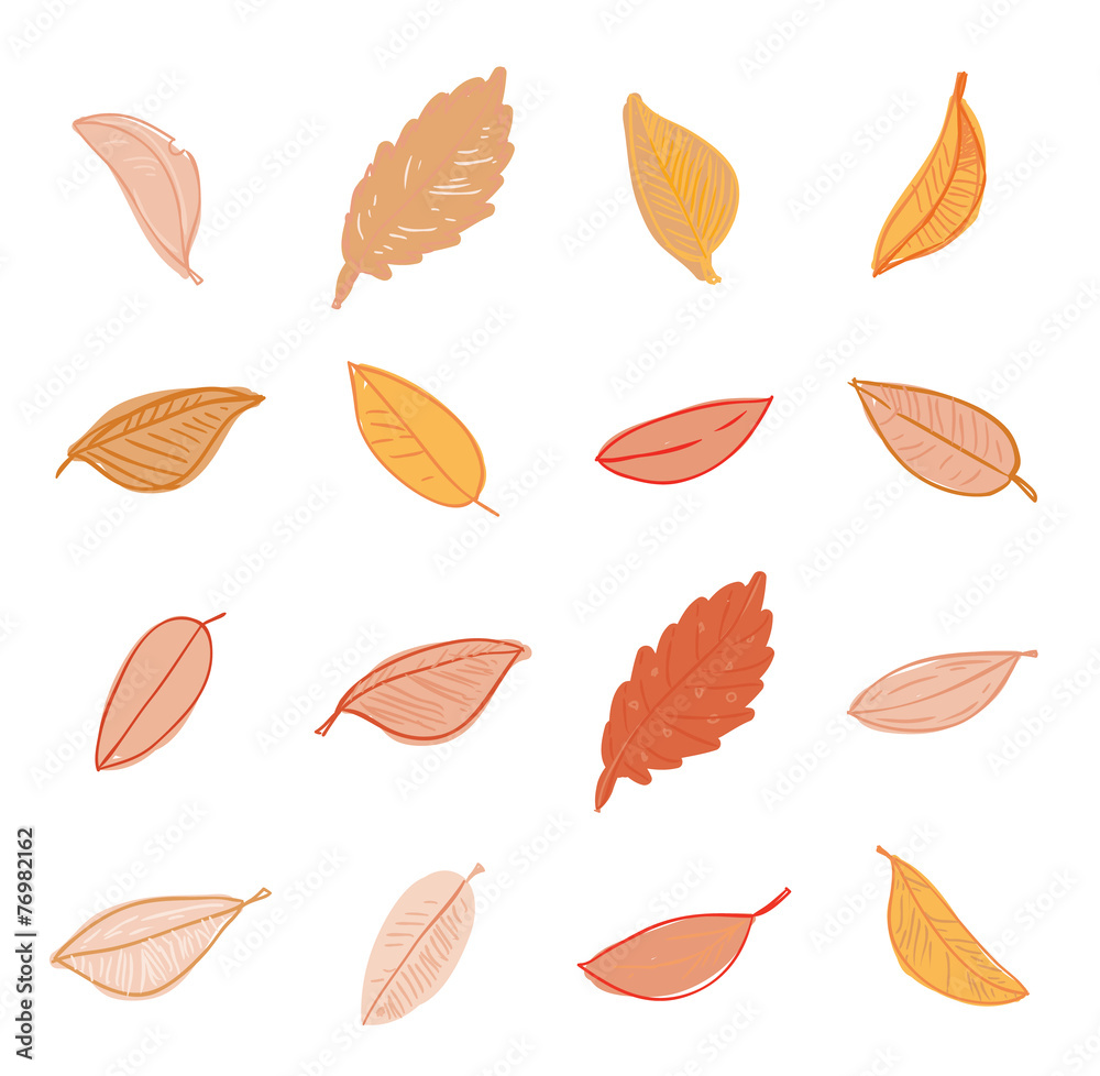 Obraz premium leaves doodles set. Vector hand drawn illustration