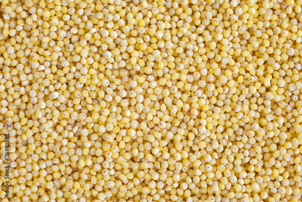 Yellow millet