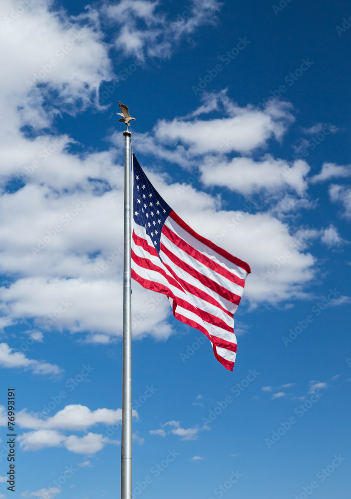 flag of usa flag of usa