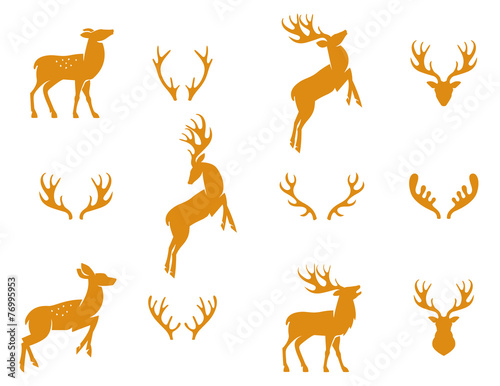 Deer collection - vector silhouette