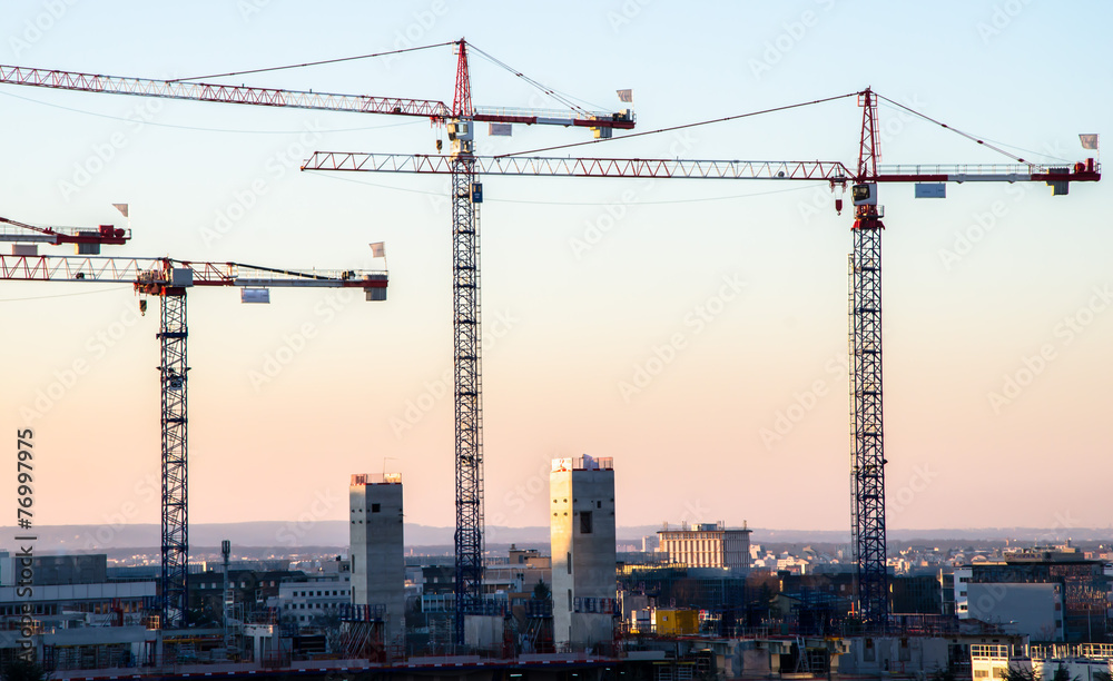 Cranes at sunset