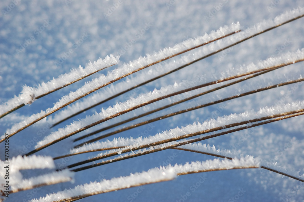 ice coating ice coating