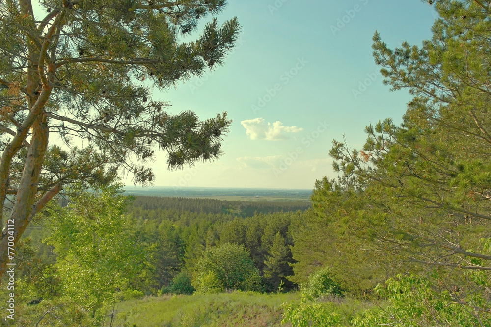 Obraz premium Beautiful summer landscape