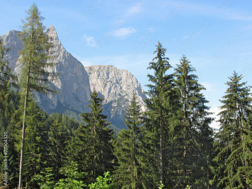 Obraz premium Panoramiczny widok na góry