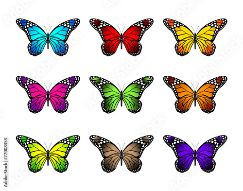Canvas Print Set of Realistic Colorful Butterflies Isolated for Spring