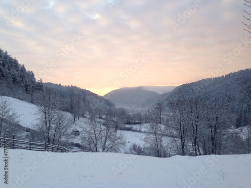 Sunrise in winter near forest