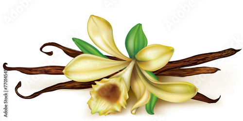Vanilla orchid