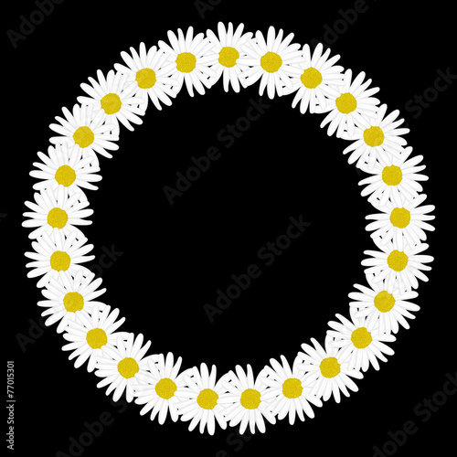 Fototapeta Naklejka Na Ścianę i Meble -  Daisy chain in the shape of a circle frame