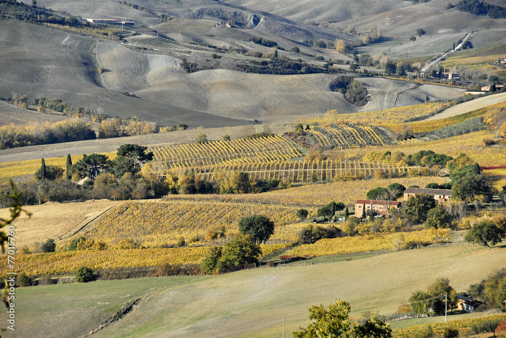 Val d'Orcia 5