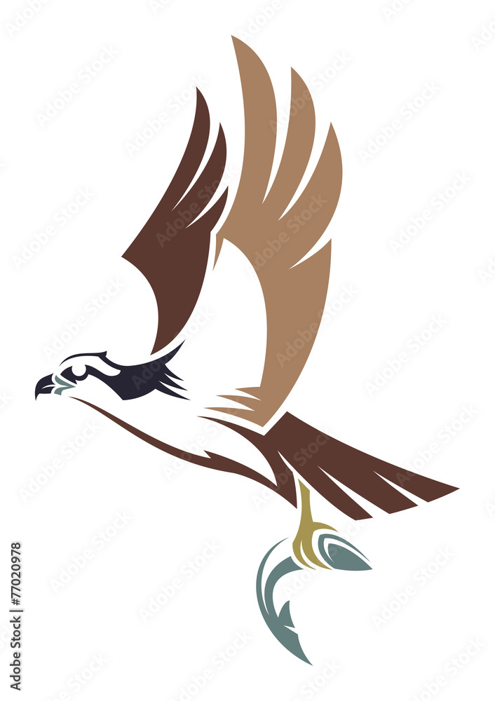 Fototapeta premium Stylized Bird - Osprey