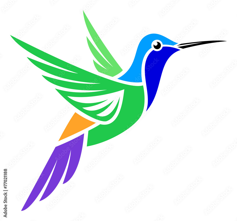 Obraz premium Stylized Bird - Charming Hummingbird
