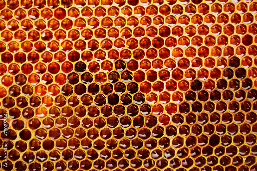 Honeycomb background