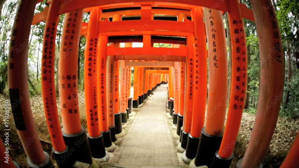 POV Torii gates wide angle Buddhist temple travel Kyoto Japan POV Torii gates wide angle Buddhist temple travel Kyoto Japan