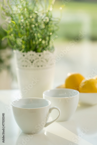 White porcelain cups