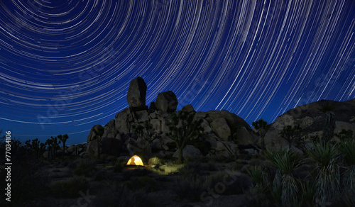 Long Exposure Star Trails In Joshua Tree National Park