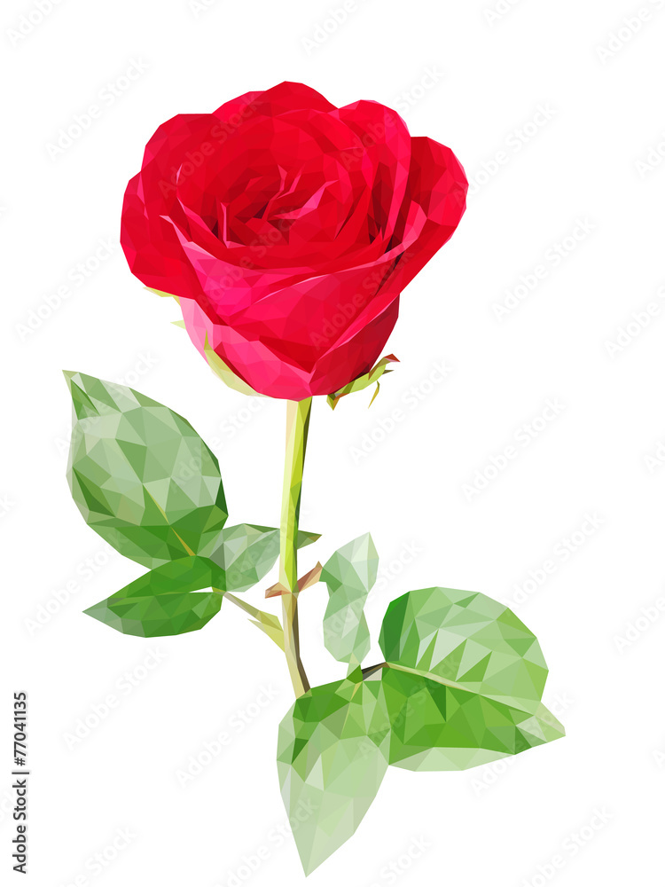 Fototapeta premium Red polygon rose