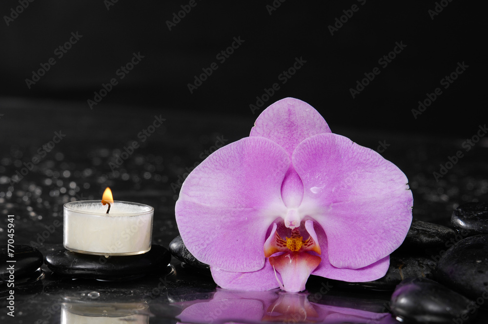 Still life with red orchid with candle and therapy stones Still life with red orchid with candle and therapy stones