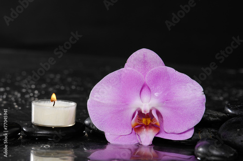 Still life with red orchid with candle and therapy stones