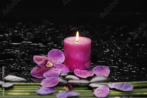 orchid and green leaf with candle on therapy stones