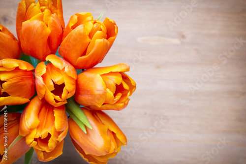 Fototapeta Naklejka Na Ścianę i Meble -  Tulip.