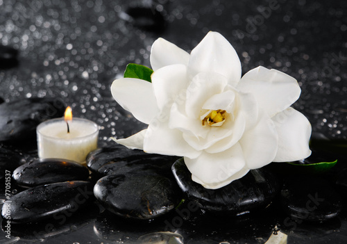 Spa still with gardenia flower and candle on pebbles